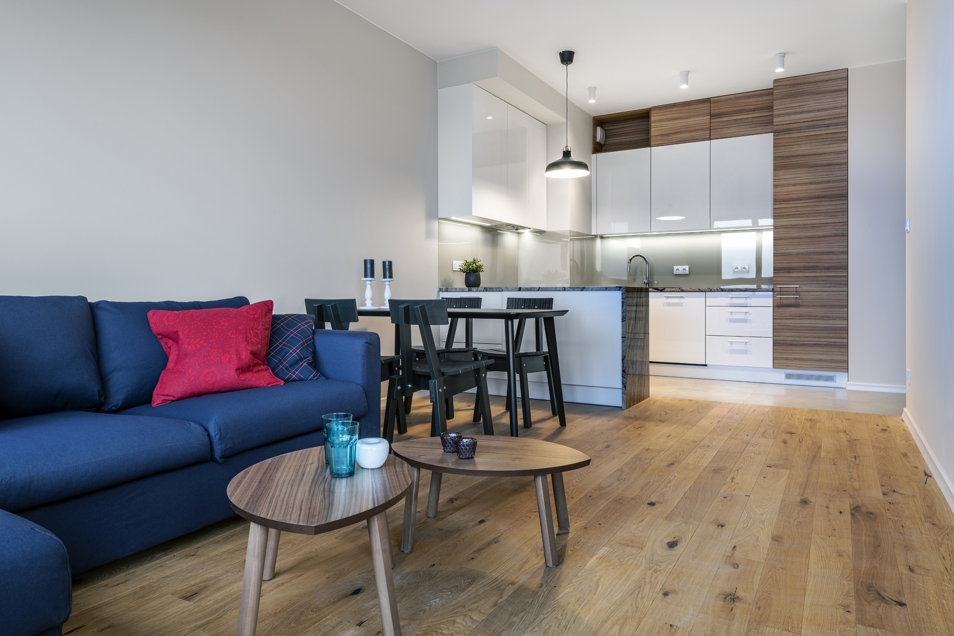 Modern living room and kitchen interior design